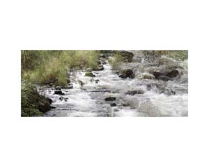 Stream 1 Costa Rica