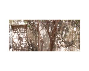 Walls and Doorways 1