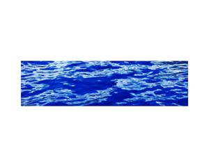 Waves Moorea