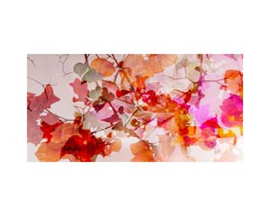 White Wall & Flowers 3 CR