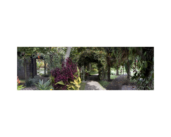 Garden 1 Costa Rica