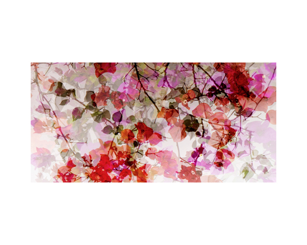 White Wall & Flowers 4 CR