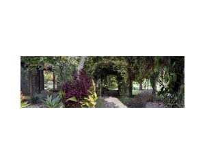 Garden 1 Costa Rica