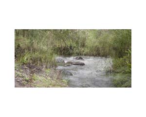 Stream 1B Costa Rica