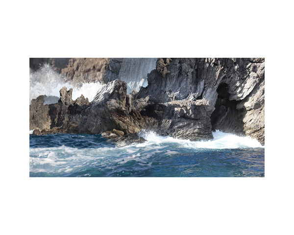 Bird Island 2