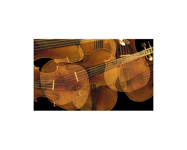 Violin 2